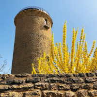 À Oingt, classécomme l'un des plus beaux villages de France, venez visiter sa tour où en haut vous pourrez profiter une terrasse avec un panorama à 360 degrés sur les paysages des pierres dorées. 

 sandrajuli10 
.
.
#destinationbeaujolais #beaujola