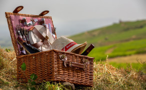 Picnic in the vineyard: Conviviality option