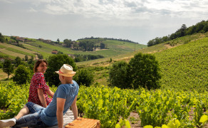 Picnic in the vineyard: Elegance option