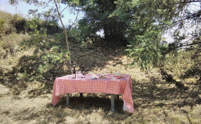 Picnic in the vineyard : Conviviality option