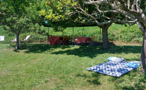 Picnic in the vineyard : Conviviality option