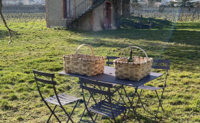 Picnic in organic vines
