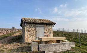 Pique-nique local à l'ombre de la cadole
