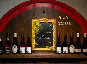 © Inter Beaujolais, Etienne Ramousse
