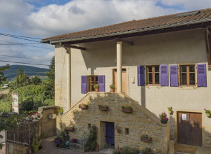 Domaine de Roche Cattin
