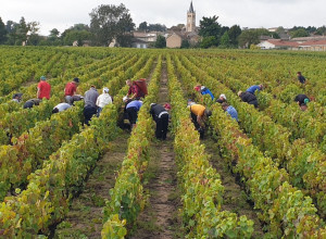 Domaine des Nugues