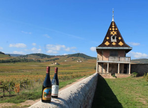Famille SAUZET