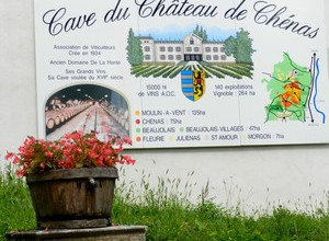 Cave du Château de Chénas