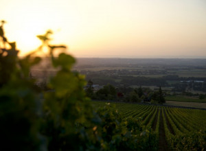 La terre entière
