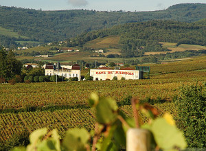 Juliénas Chaintré Vignerons Associés