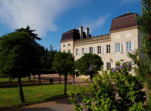 Juliénas Chaintré Vignerons Associés