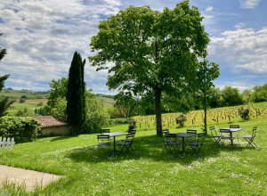 Domaine Albert