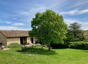 Domaine Albert