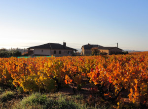 BOUILLARD Dominique