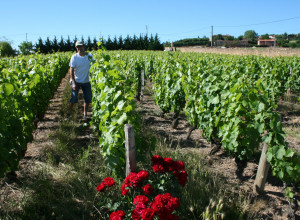 Domaine de Baluce