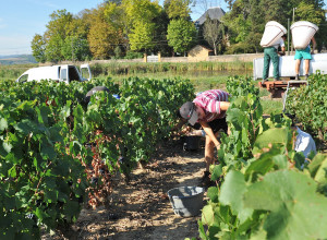 Domaine de Baluce