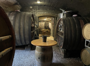 Domaine de Baluce