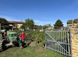 Domaine de Baluce