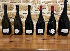 Domaine de Baluce