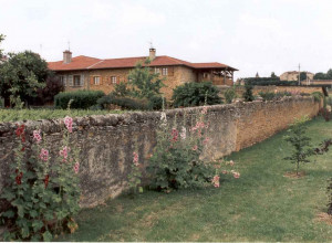 Domaine de Baluce