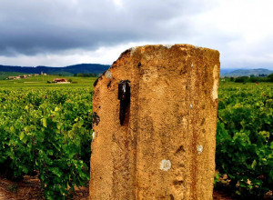 Domaine de Forétal