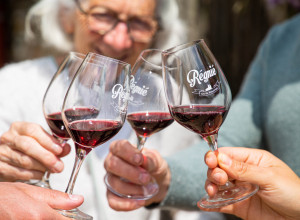 Domaine Striffling