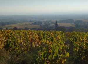 Destination Beaujolais