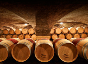 Serge CHAPUIS-Château des Jacques