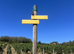 Domaine Bosse-Platière