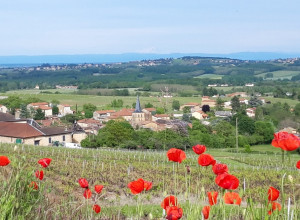 Coteaux de St Abram