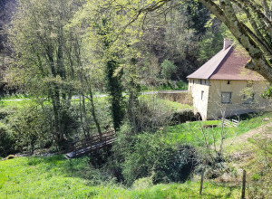T.Blanchier - Beaujolais Tourisme