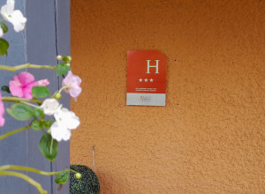 SAS HDV