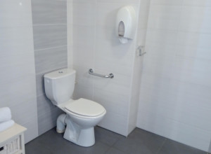 SAS HDV