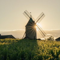 Capturer la lumière au bon moment 

Le Moulin à Vent, cet emblème du Beaujolais connu pour son cru du même nom, est un lieu imprenable pour admirer la vue sur le vignoble. 
# tourisme
  sylvain.gllm 

#beaujolais #gamay #moulinavent #vignes #tourisme