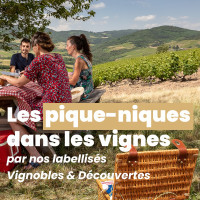 Envie d'un pique-nique ?  vivez une expérience inédite chez l'un de nos vignerons du Beaujolais ! 

Ce sont les vignerons  qui vous accueillent sur leur domaine, dans leur cave ou encore leur château. Ils vous réservent leurs plus beaux endroits pour un pique-nique en famille, entre amis, en amoureux.

Réservations disponibles sur notre site web !

En photos : 
1/ Maison du Cru Chiroubles - Chiroubles
2/ Château des Bachelards - Fleurie 
3/ Domaine Steeve Charvet - Chiroubles
4/ Domaine du Crêt de Bine - Sarcey
5/ Le plateau de Grille-Midi - Chiroubles
6/Domaine Philippe Aufranc - Fleurie 
7/ Château des Ravatys - Saint-Lager

#piquenique #beaujolais #ete #tourisme #presdelyon

 domaines cités - Etienne Ramousse Beaujolais Tourisme - prestafoodandcom