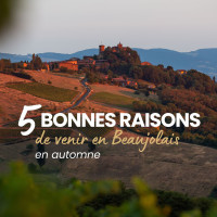 Que faire en automne en Beaujolais ? 

Quand les vignes prennent leurs couleurs rousses et dorées, le Beaujolais devient un vrai décor de carte postale. Voici de quoi remplir vos week-ends !

 Balade ou randonnée dans les vignes
 Dégustation en caveau et rencontre avec les vignerons
 Le 3? jeudi de novembre (19/11), le Beaujolais Nouveau est de retour !

 Enregistrez ce post pour préparer votre prochaine escapade et taguez la personne avec qui vous voulez la faire ! 

#Beaujolais #AutomneEnBeaujolais #BeaujolaisTourisme #VisitBeaujolais #WeekendNature #Vignoble #EscapadeAutomne #TourismeFrance #BeaujolaisNouveau #Vendanges